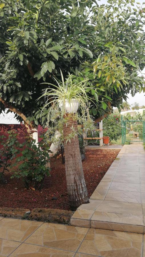 Lugares Comunes Hostal Los Realejos Exterior foto