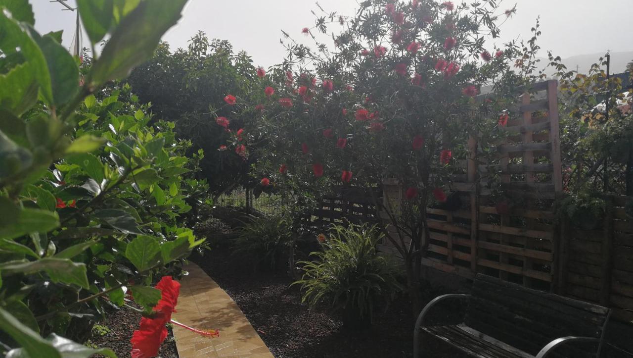 Lugares Comunes Hostal Los Realejos Exterior foto